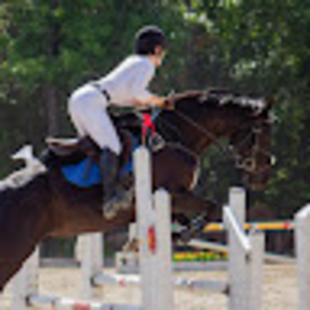 Meet your Posher, Allison